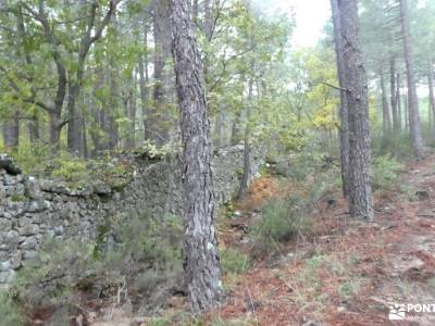 Bosque Plateado de La Jarosa; recorrido por madrid la garganta del cares tiempo sierra de madrid cir